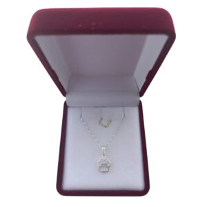 Conjunto Cadena Plata 925 Colgante Patita Mascota